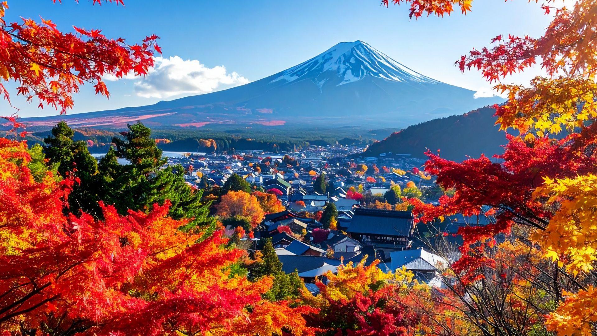 Discover the Best of Japan